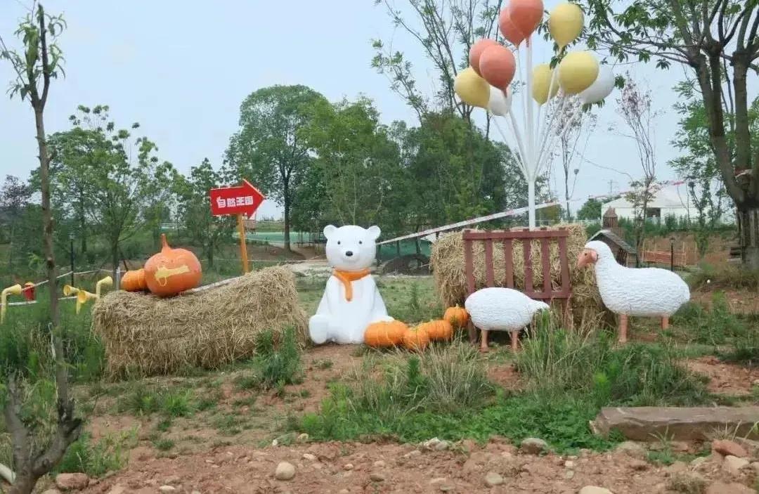 青白江十大健身地,青白江体育