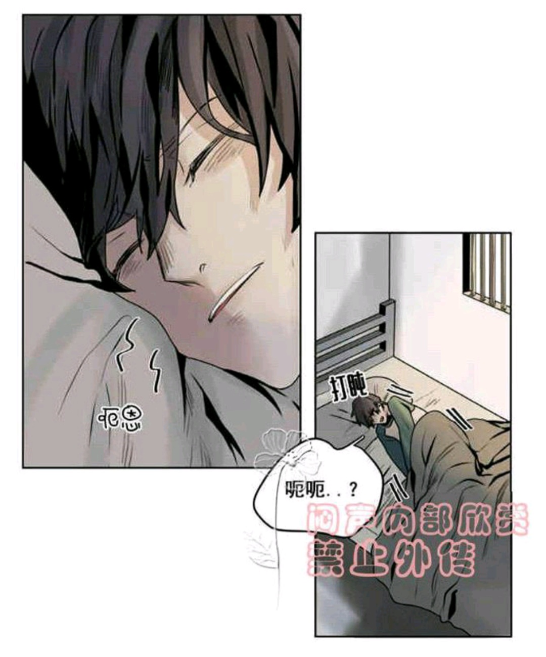 死亡之鸟的凝视第十八话完整版,死亡之鸟的凝视漫画免费