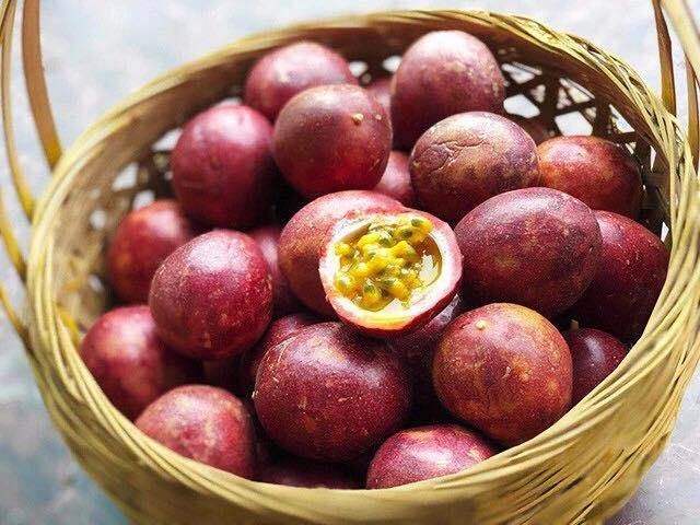 家里的百香果很难熟,盆栽百香果从哪结果