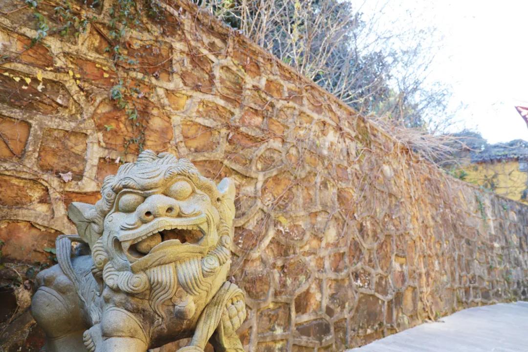 苏州西山农家乐民宿游,苏州西山农家乐旅游网官网