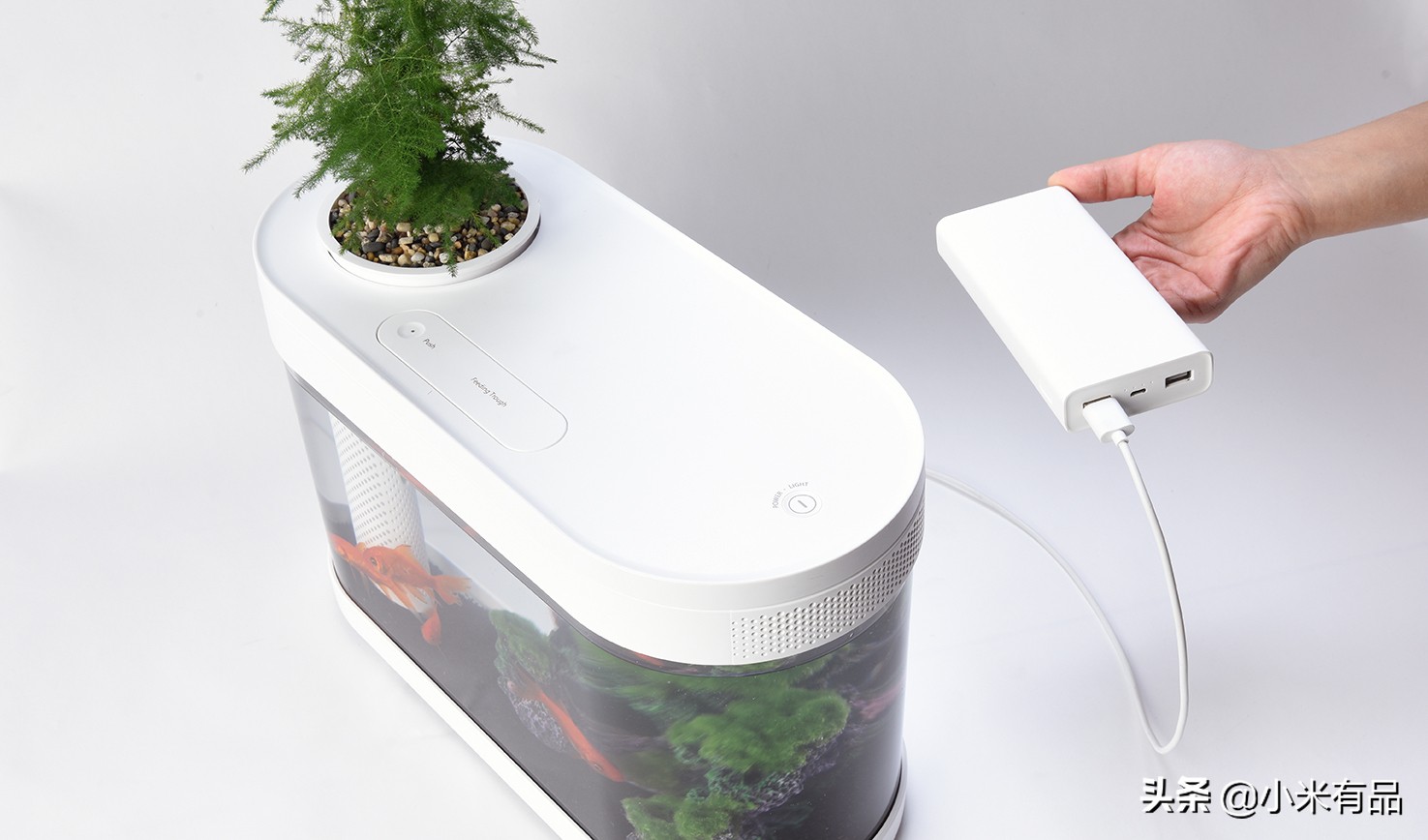 小米两栖生态鱼缸图片,小米生态小鱼缸