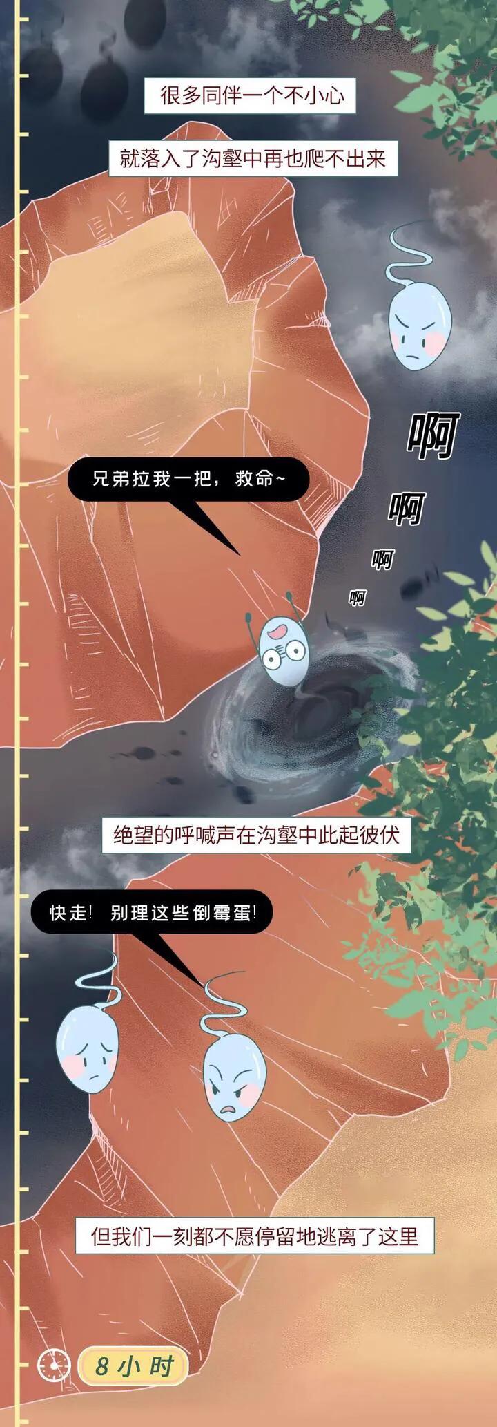 绮惧瓙杩涘叆浜轰綋1灏忔椂鍙樺寲,绮惧瓙杩涘叆浜轰綋48灏忔椂鍙樺寲