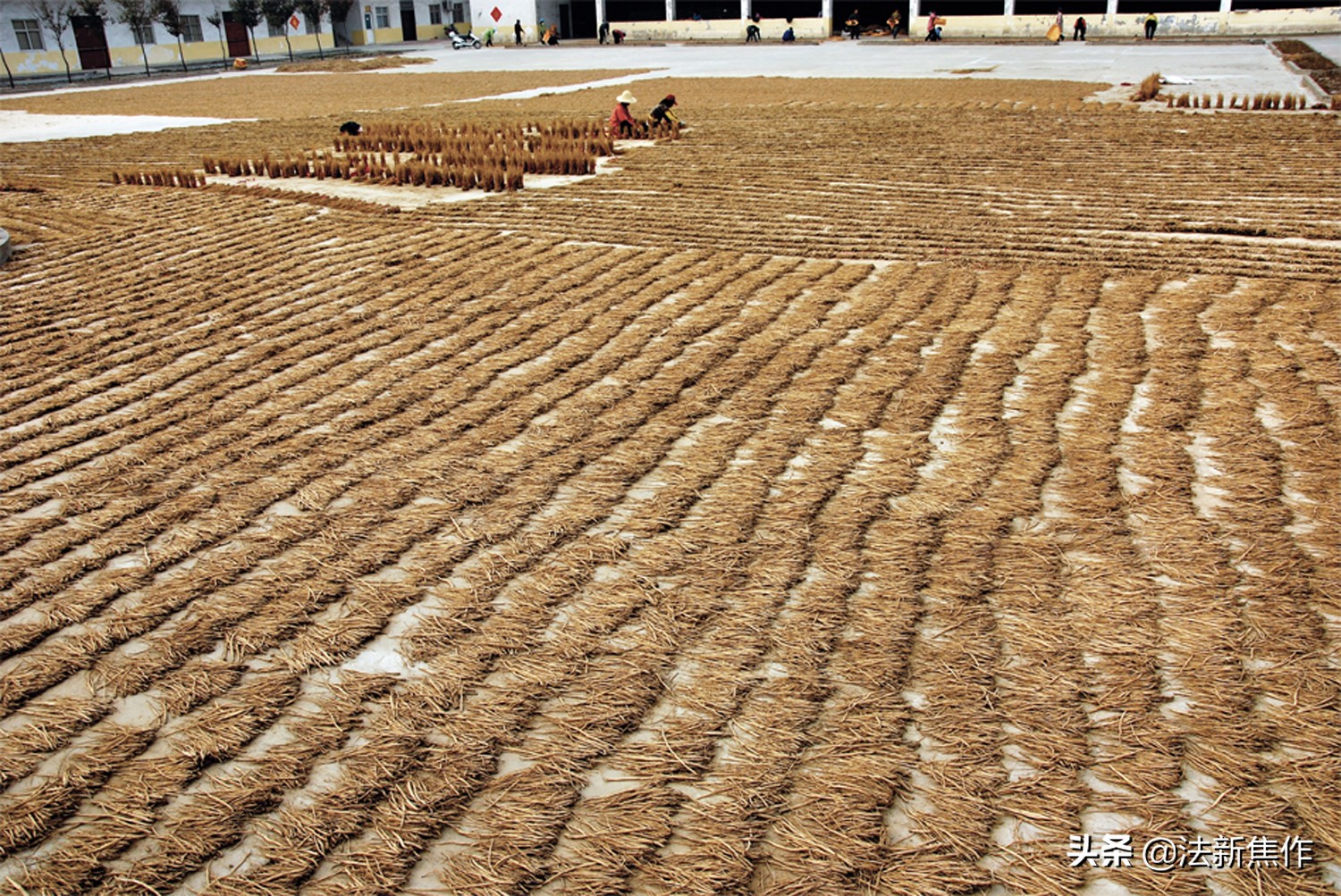 建党百年感人诗歌,献礼建党百年诗