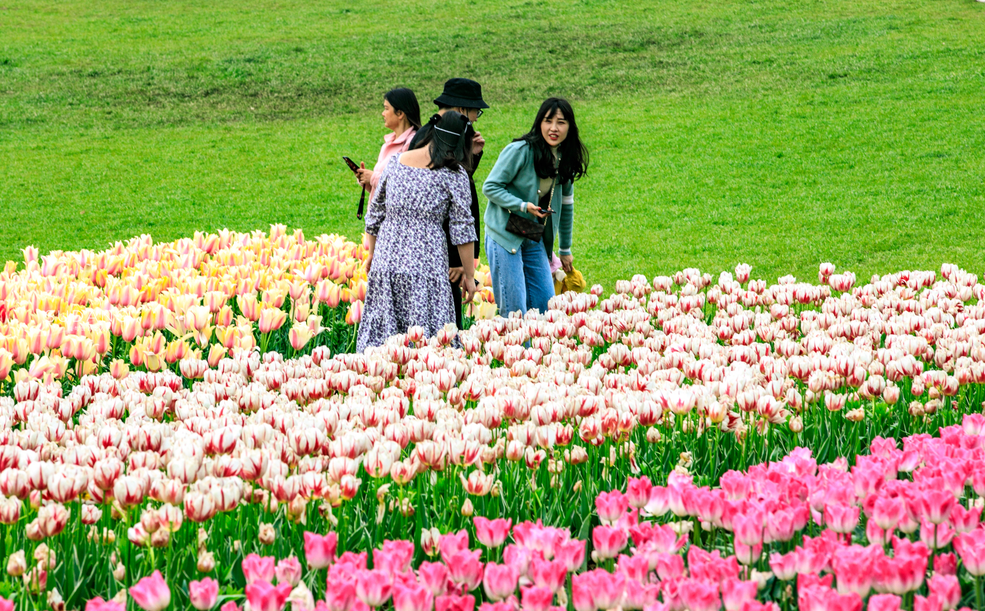 最值得去的鲜花小镇,距离武汉不远的景区
