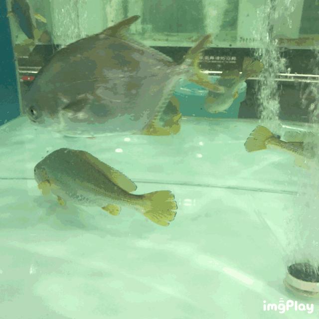 南通人过去一年最爱去的这36家餐厅,都在这儿了