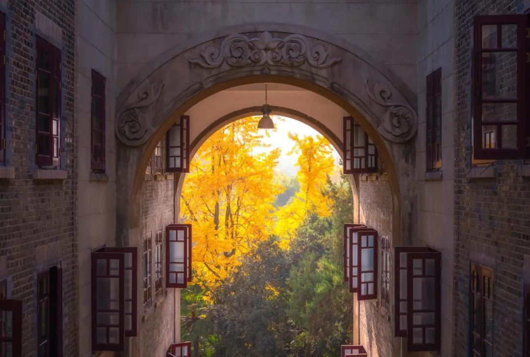 武汉开学震撼画面,夏季的武汉大学风景