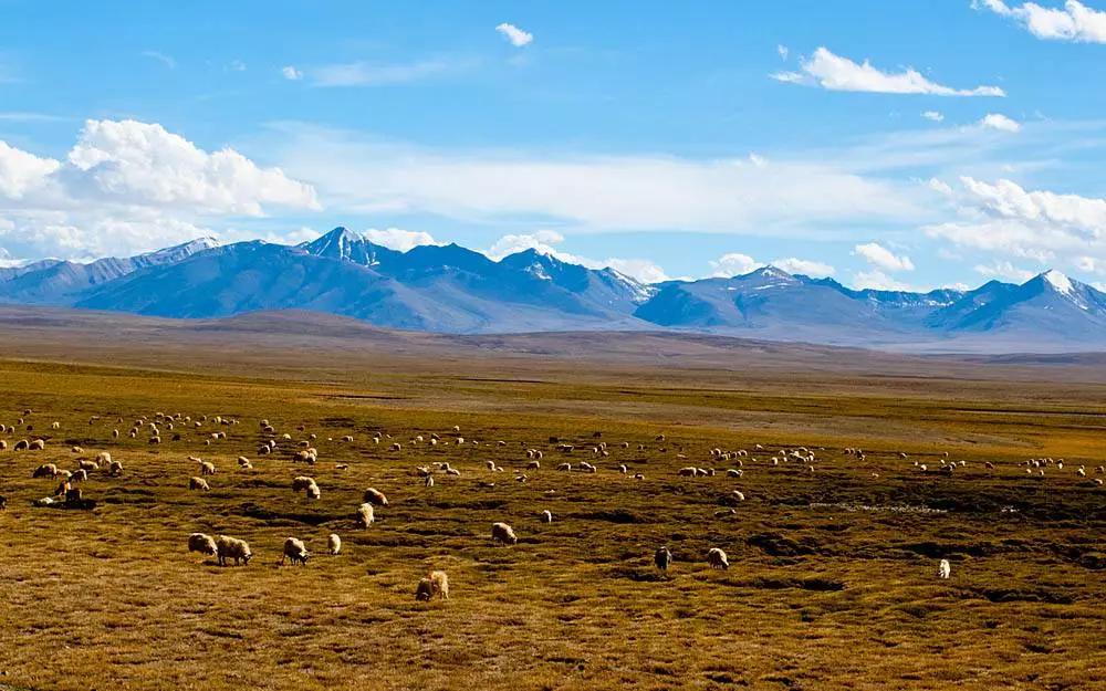 中国快递之快让全世界都惊呆了,中国桥梁为何惊呆了全世界