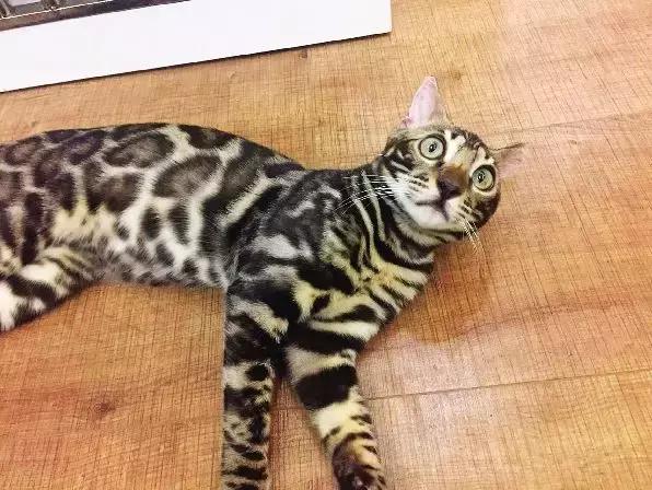 靖江微靖江,微靖江马桥