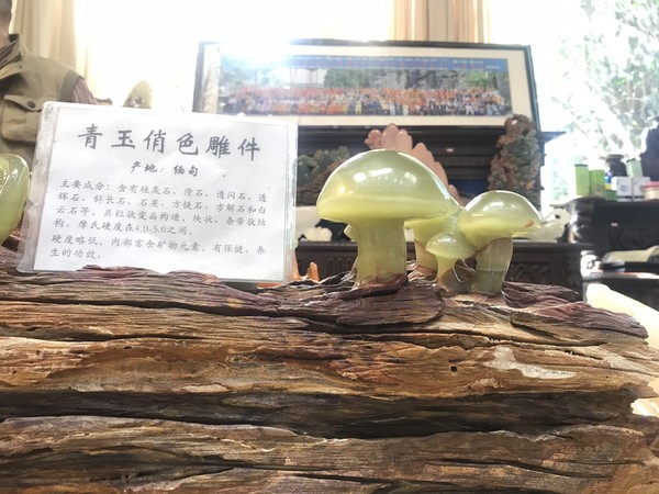 鑺掑競鍜岃吘鍐茬憺涓藉摢涓ソ,鑵惧啿鐟炰附鑺掑競瑗垮弻鐗堢撼