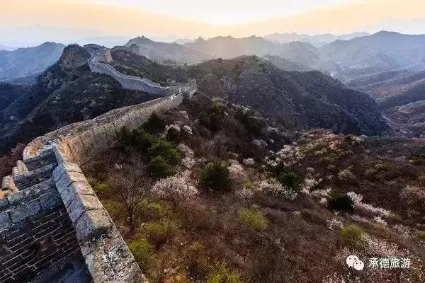 天津赏花好玩的公园,天津东丽湖哪里可以赏花