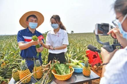 马云预言未来的20年农村6大机遇,马云预言农村未来什么最好