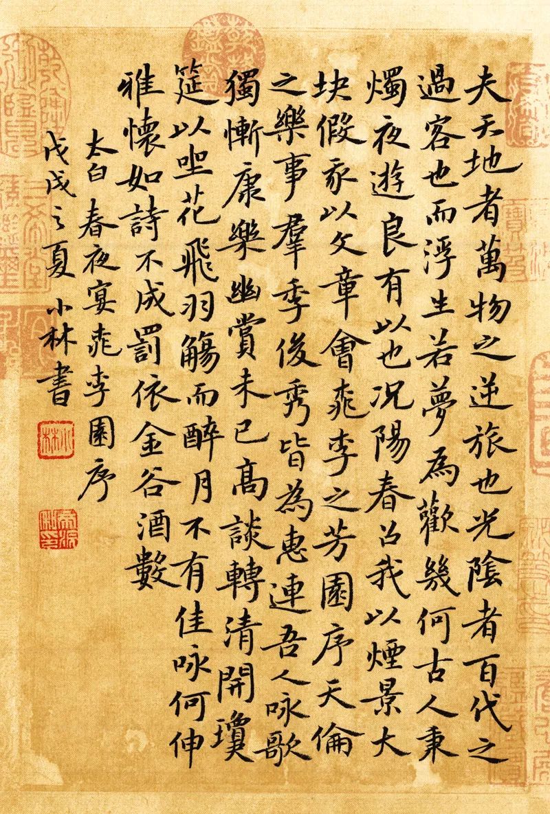 放学回家作文,走在放学回家的路上作文