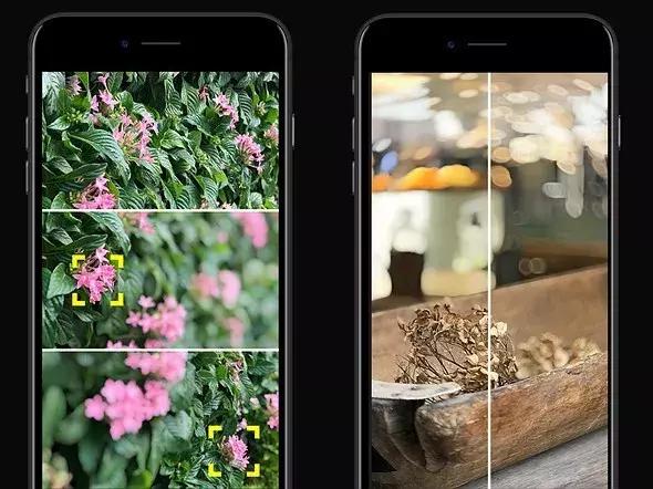 2018年不可错过的app (盘点2018年度十大app)
