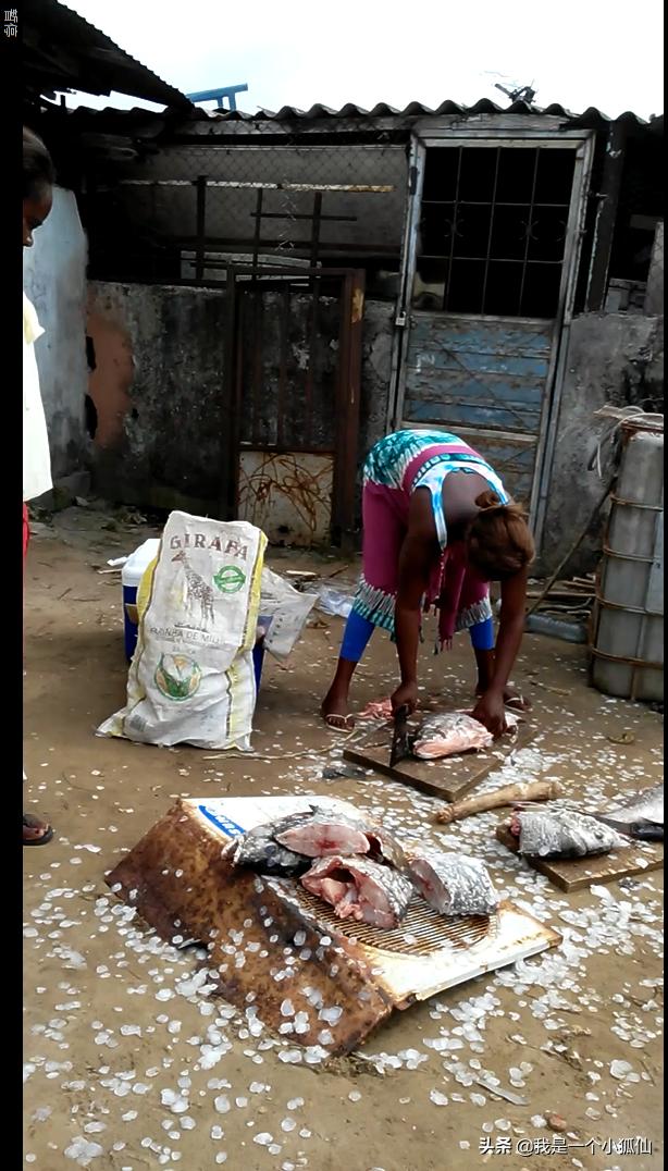 我在安哥拉渔业码头回忆我在非洲安哥拉的日子105
