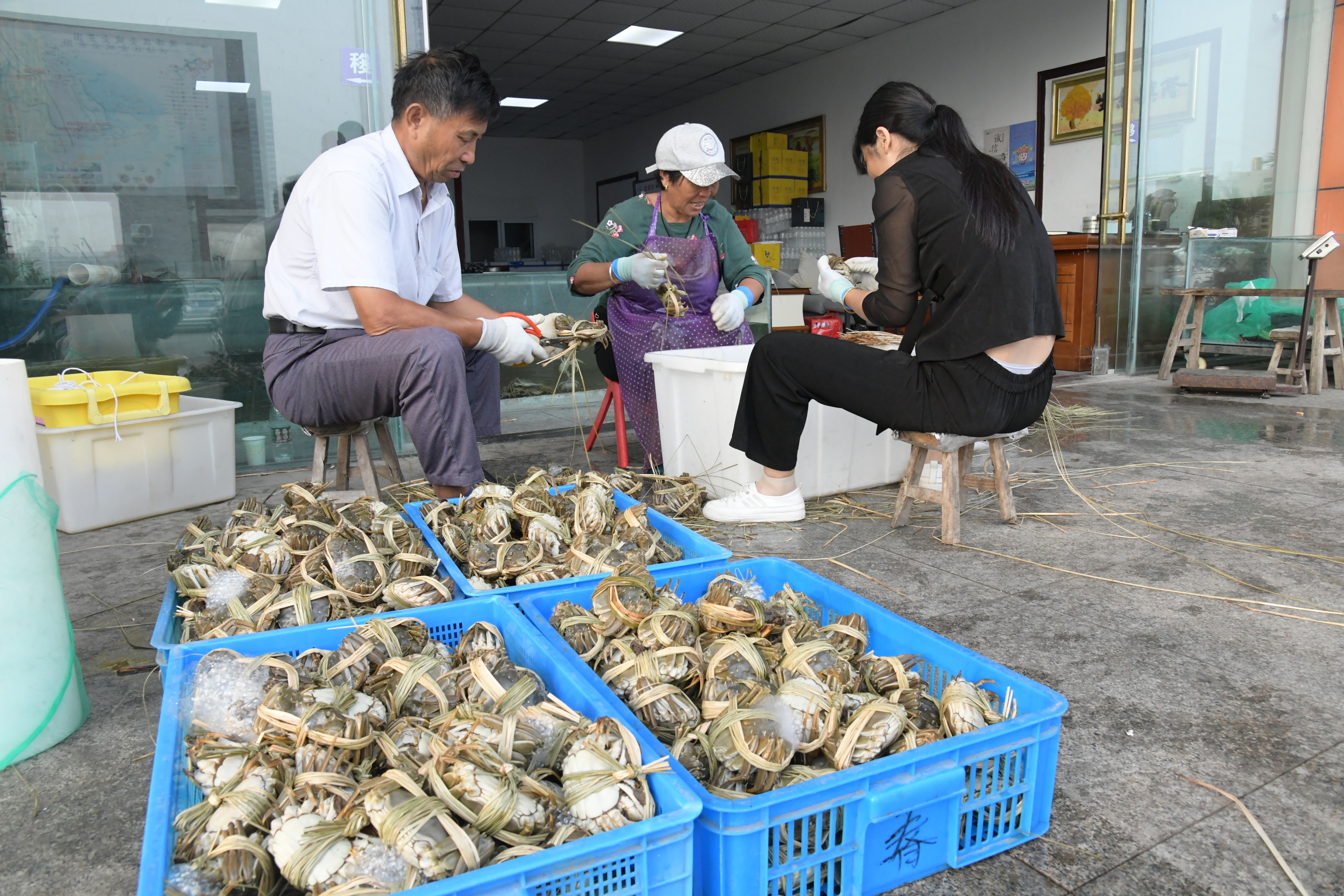 洪泽湖大闸蟹交易市场,洪泽湖大闸蟹批发价格最新行情