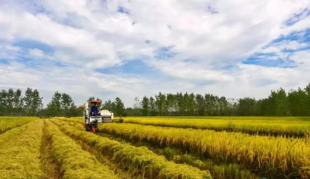 农业托管的新模式,农业托管的十种模式