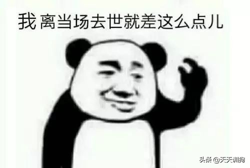 狗狗有虫子的症状表现,狗狗肚子里有虫子会有哪些表现