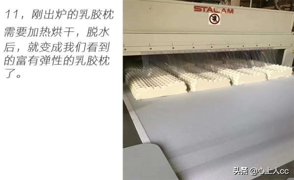 真乳胶枕和假乳胶怎么辨别,怎么区分天然乳胶枕和海绵枕头