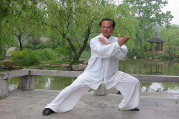 太极拳属以柔制刚借力打力吗,太极拳各门派的特点