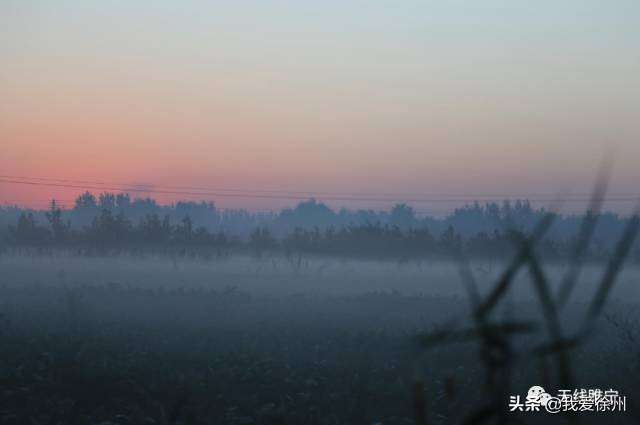 徐州双沟镇什么时候改成观音镇了,江苏徐州睢宁双沟改名观音镇吗
