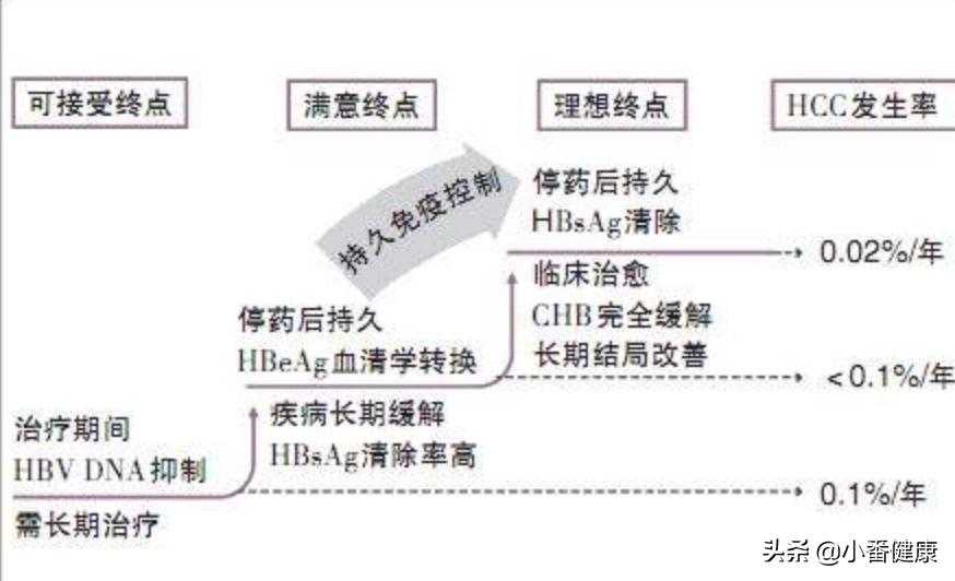 乙肝三个阶段需要关注什么,乙肝的三个治愈标准