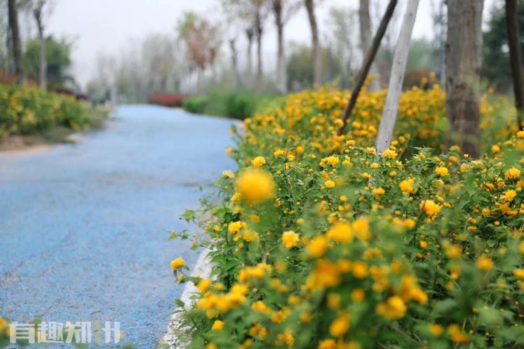 郑州周边人少清静有山有水的地方,郑州人少的公园适合野营