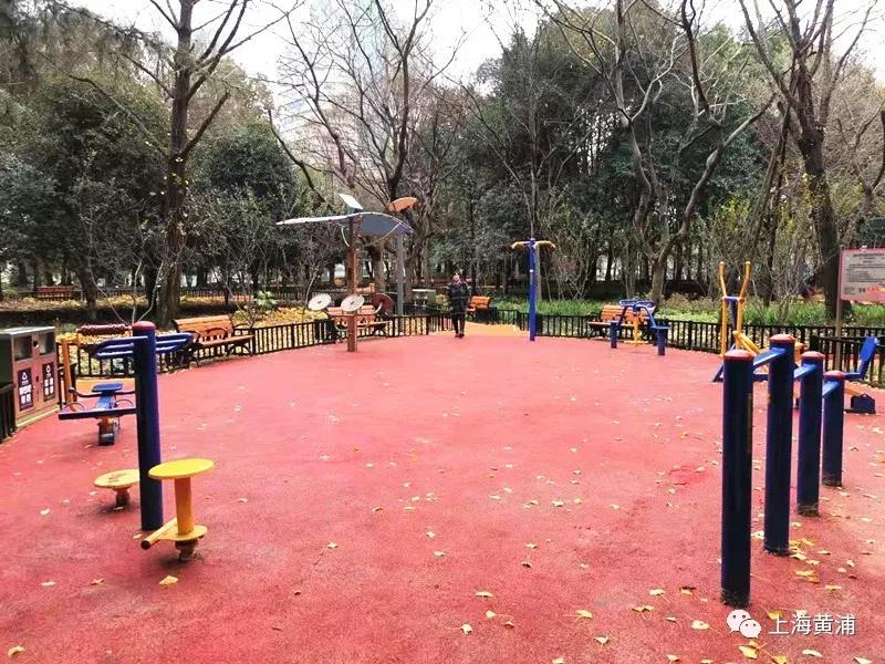 民生实事｜健身、益智、休闲……黄浦居民家门口的健身苑点“老少通吃”