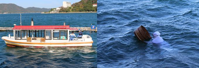 淡水珍珠和akoya海水珍珠哪个好,日本珍珠哪里最好