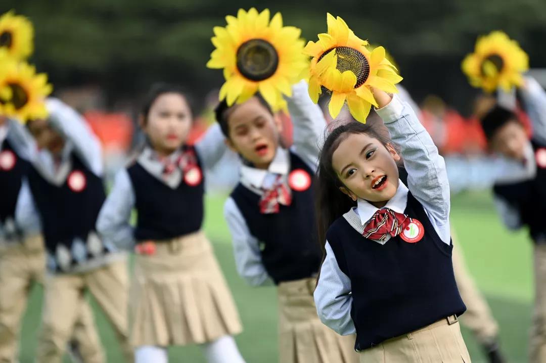 运动赛场展雄姿征文,运动盛会展风采