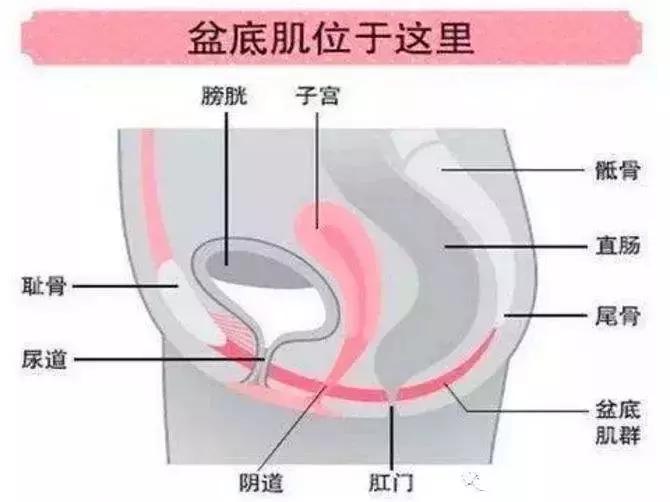 梅根产后肚子大,梅根真的是怀假肚子吗