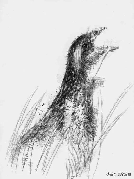 动物素描临摹装饰画,动物素描应该用哪些笔