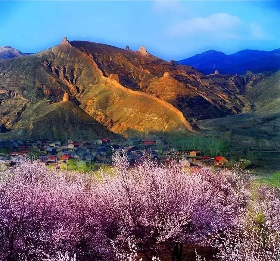 天津赏花好玩的公园,天津东丽湖哪里可以赏花