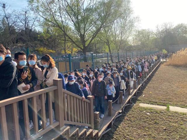清明节泰山住宿,泰山旅游清明节人多吗