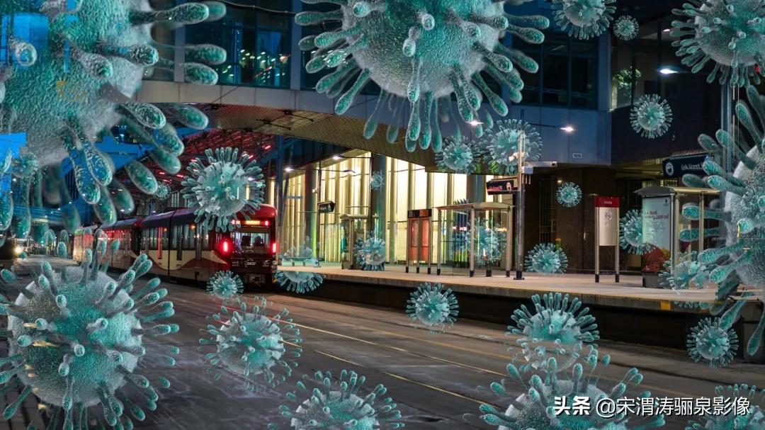 ipa国际动态摄影大赛获奖作品,2020年ipa摄影奖获奖作品