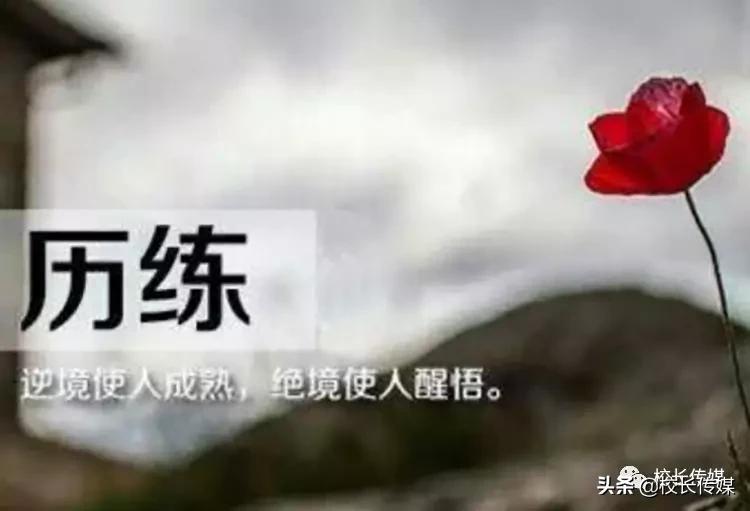 没钱买手机就自杀？比努力更重要的是对逆境保持宽容