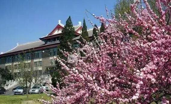 天津赏花好玩的公园,天津东丽湖哪里可以赏花