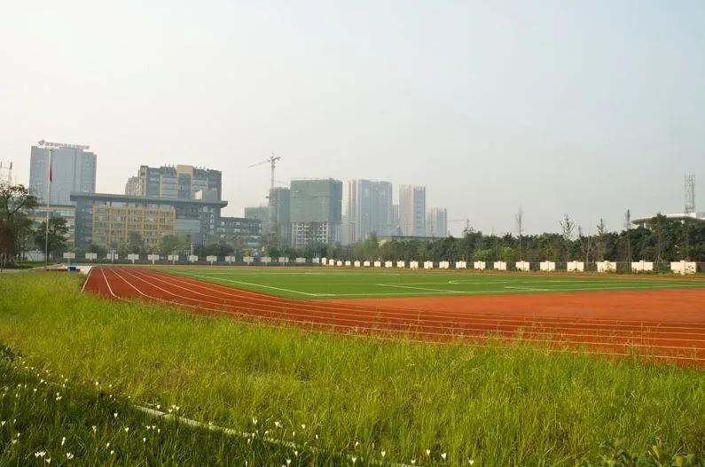 成都高新区哪个片区对口学校好,成都锦二区小升初对口学校分析