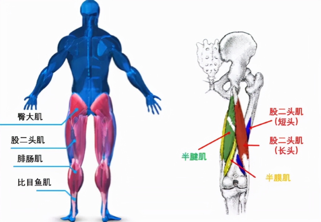 腰腿痛病因病机是什么,腰腿痛的病因全在这里了