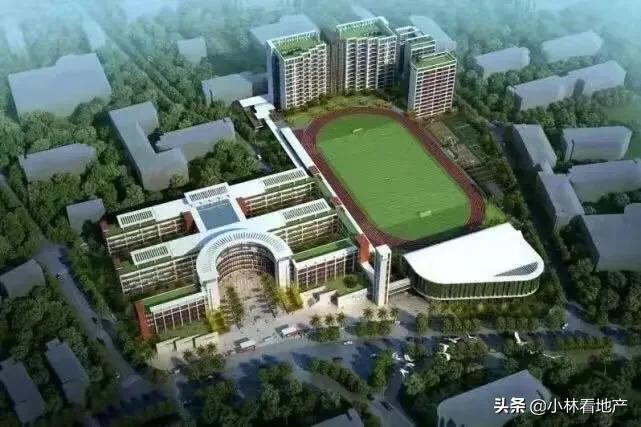 深圳最近几年新建设的高中学校,深圳2019年新开办的高中学校