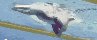 游泳练习蛙泳腿疼,蛙泳膝盖疼学其他泳姿