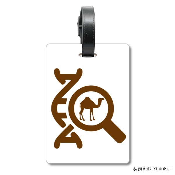 第一次出国行李箱要关注什么,出国旅游随身携带行李要求