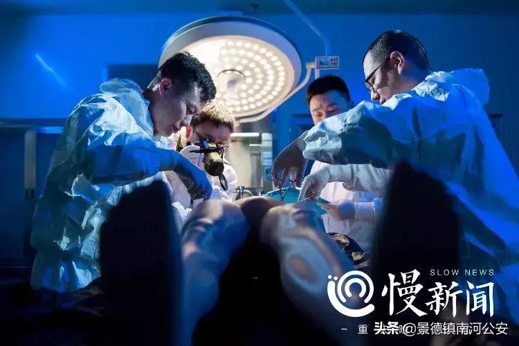 法医悬疑系列电影,10部好看的法医悬疑电影