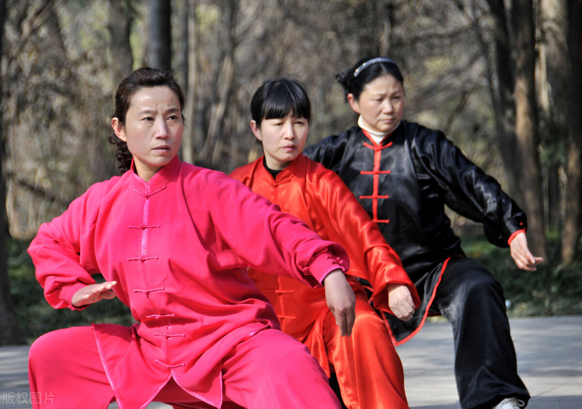 论太极拳中的动与静的辩证关系,太极拳十大要论详解