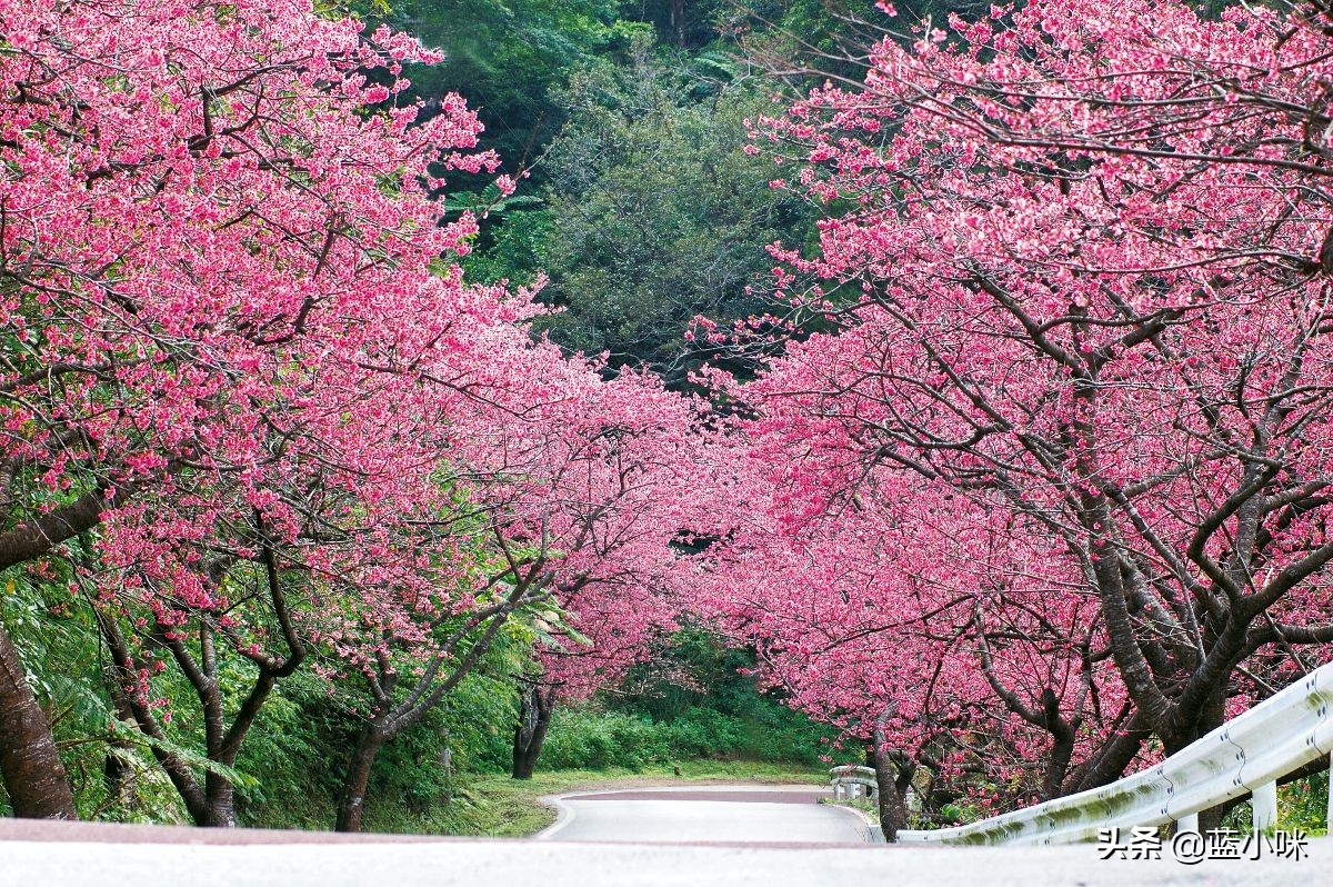 冲绳岛旅游攻略,冲绳哪几个岛可以去旅游