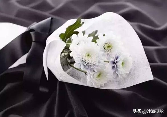 怀念天堂的慈母,怀念天堂慈母