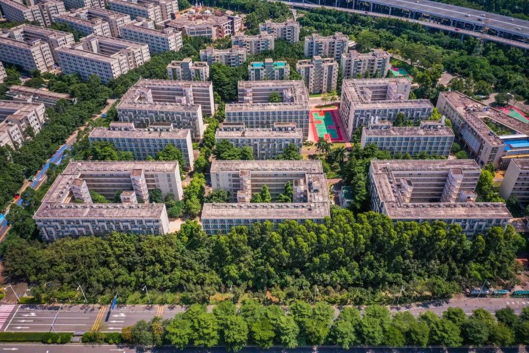 广州大学城占地最大的学校,广州大学城中山大学有多大