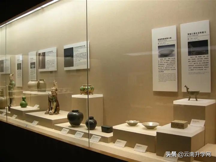 张雪峰十大冷门专业就业前景,北大清华冷门专业就业去向