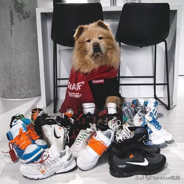 我穿搭学抖音钟爱黑丝配AJ这个社交娱乐至上的时代有何不可？