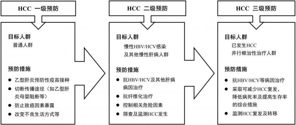 肝癌科普文章,肝癌方面的文章