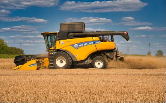 农村不起眼但利润高的小生意,利润高不起眼的项目创业